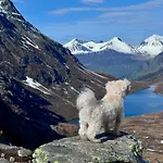 Utsikten Romsdalen Guest house *