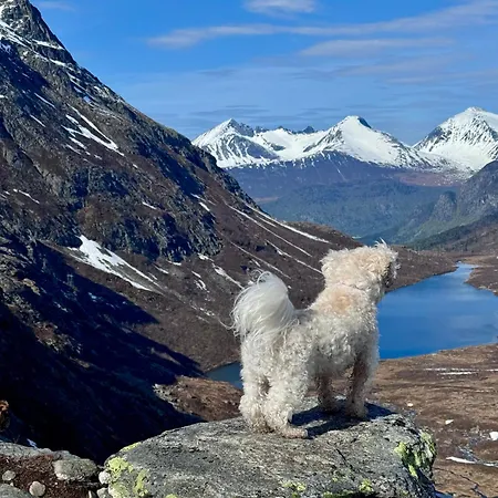 Utsikten Romsdalen Maison d'hôtes *
