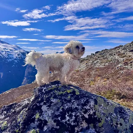 Utsikten Romsdalen Åndalsnes