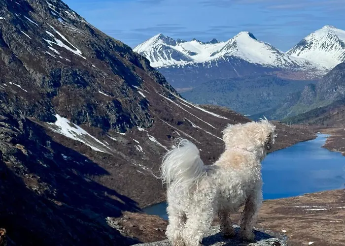 Utsikten Romsdalen Gasthof *